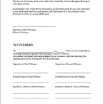 Standard Legal POA document pg2